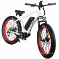 Middle Drive 48V 350W Fat Tyre Electric Bike for Sale